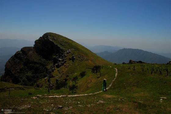 邓建平作品选之妈妈在老家 图片
