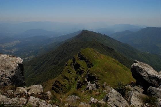 邓建平作品选之妈妈在老家 图片