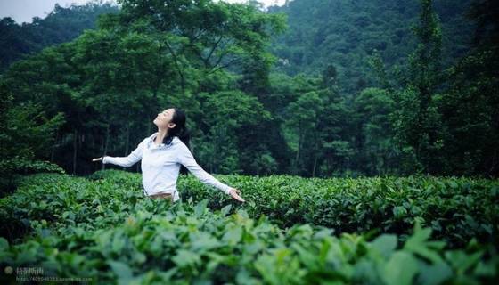 邓建平作品选之轻轻推开春天的门 图片