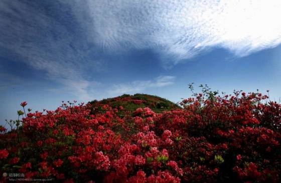 邓建平作品选之轻轻推开春天的门 图片