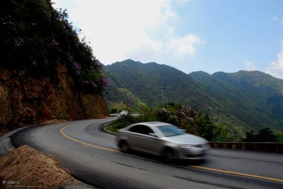 邓建平作品选之轻轻推开春天的门 图片
