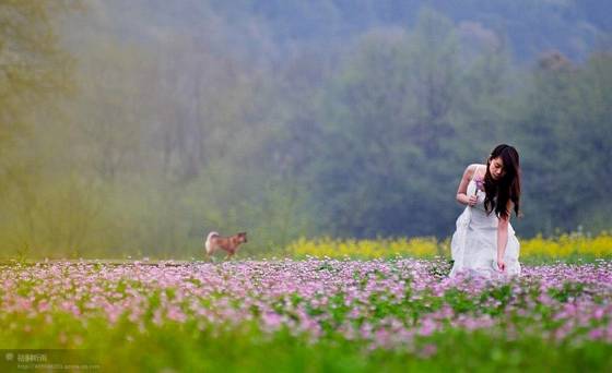 邓建平作品选之轻轻推开春天的门 图片