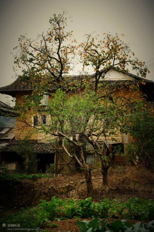 邓建平作品选之红尘漫漫我用阳光温暖你 图片