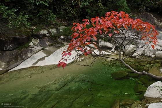 邓建平作品选之红尘漫漫我用阳光温暖你 图片
