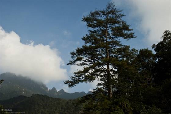 邓建平作品选之红尘漫漫我用阳光温暖你 图片