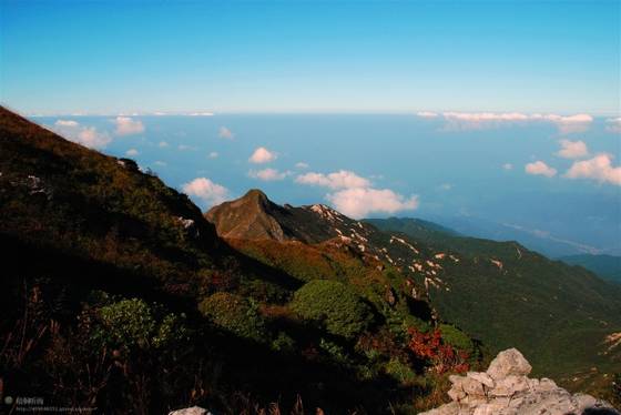 邓建平作品选之青梅竹马 图片