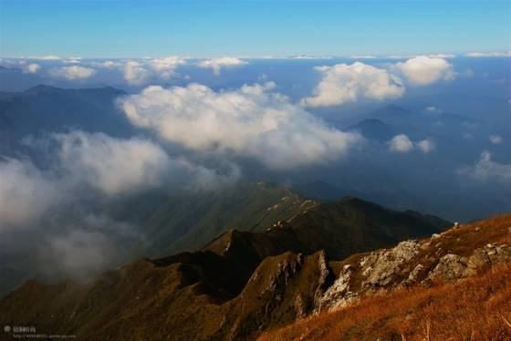 邓建平作品选之青梅竹马 图片