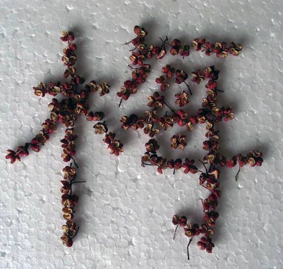 邓建平作品选之老家的花椒树 图片