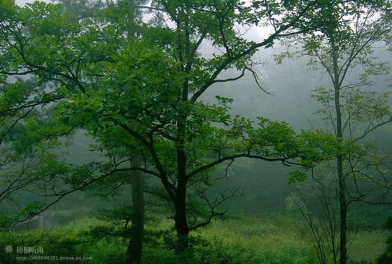 邓建平作品选之聆听六月 图片
