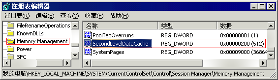 SecondLevelDataCache