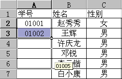 �Զ�������