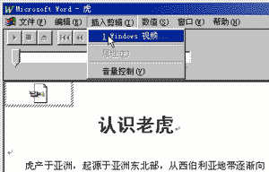 ������Ƶ