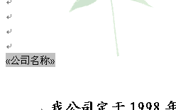 ����˾���ơ�