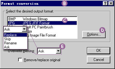 FormatConversationԻ