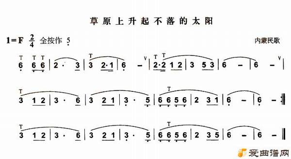 葫芦丝《草原上升起不落的太阳》