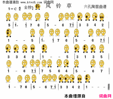 �յѡ�����ݡ�