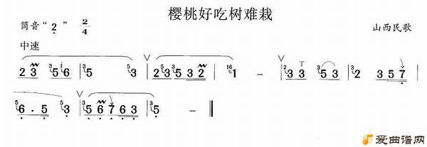 ���ӣ�Һó������ԡ�