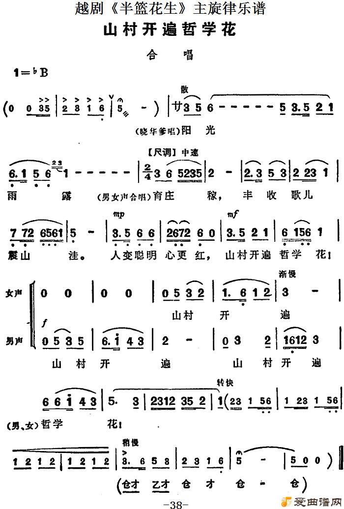 Խ硶Խ硶ȫףɽ忪ѧ