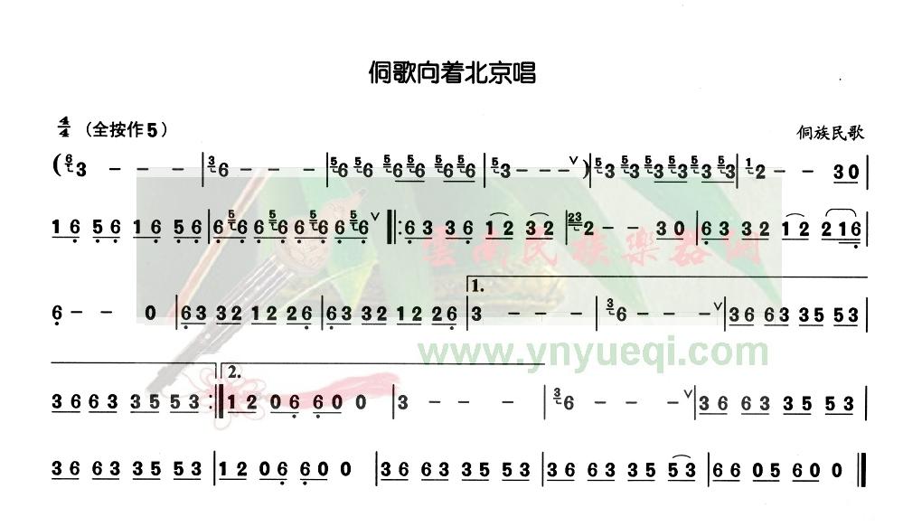 �������ű�����