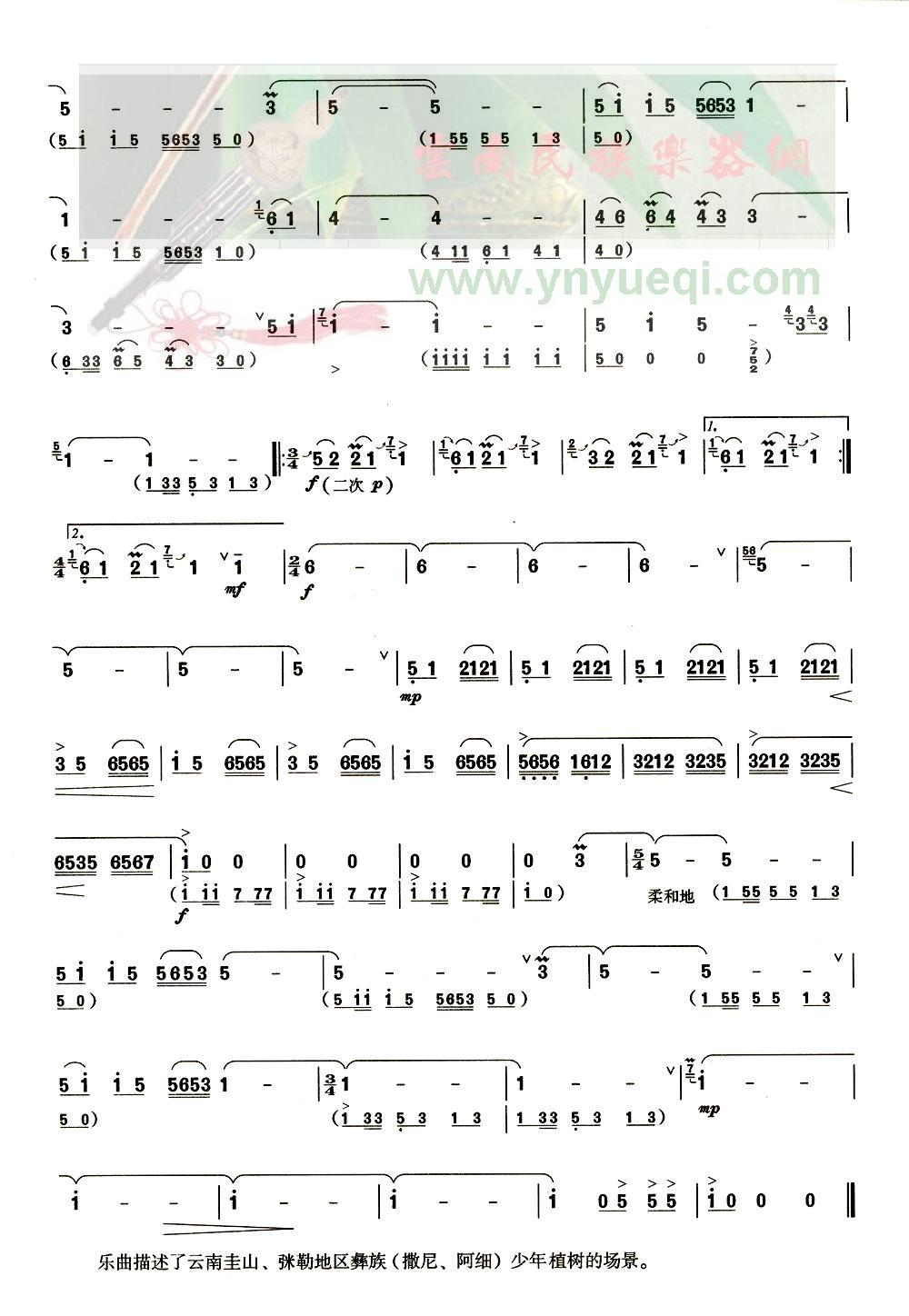 �����Ͷ�