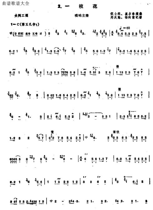 �ػʵ���һ֦����