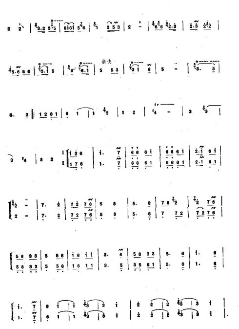 ���˫������������