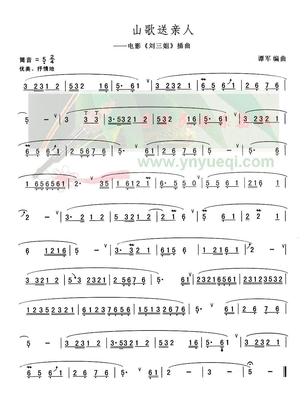 ɽ��������