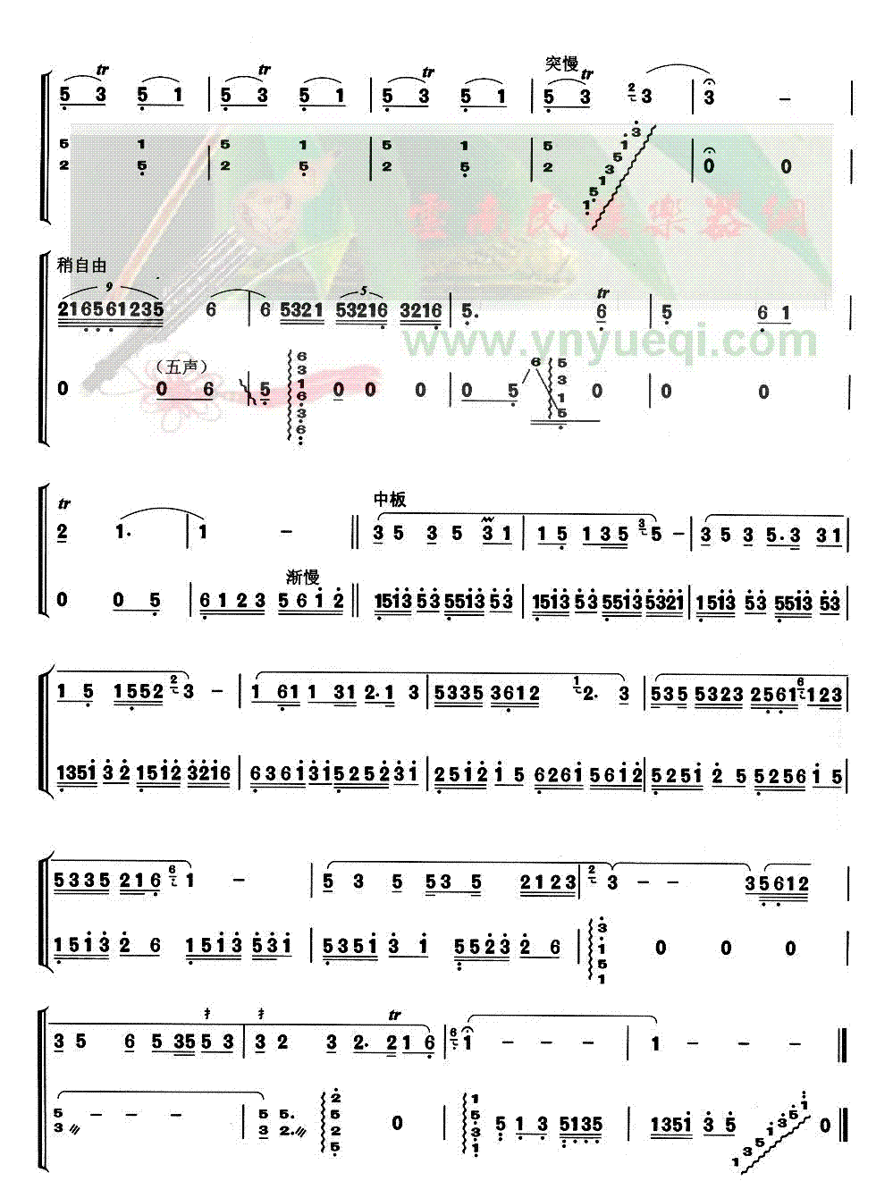 ���˵ĺ�«��