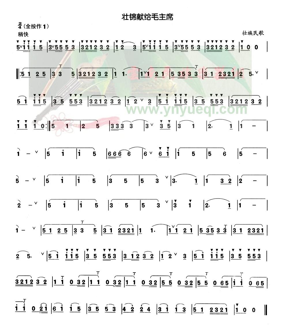 ׳���׸�ë��ϯ