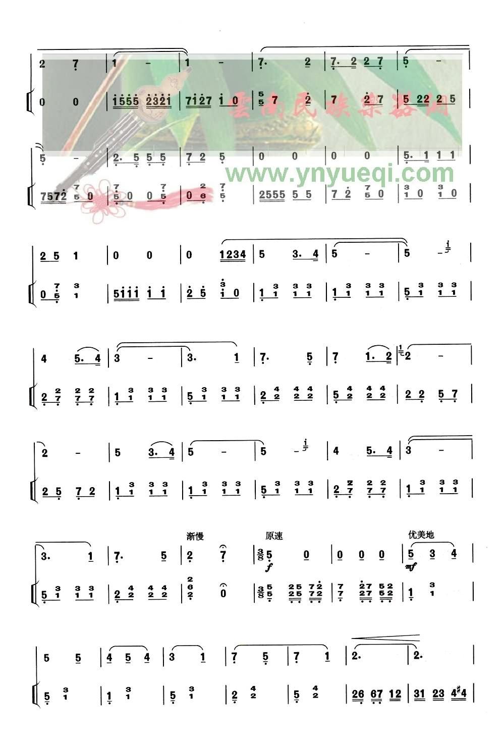 ���ֵİ���