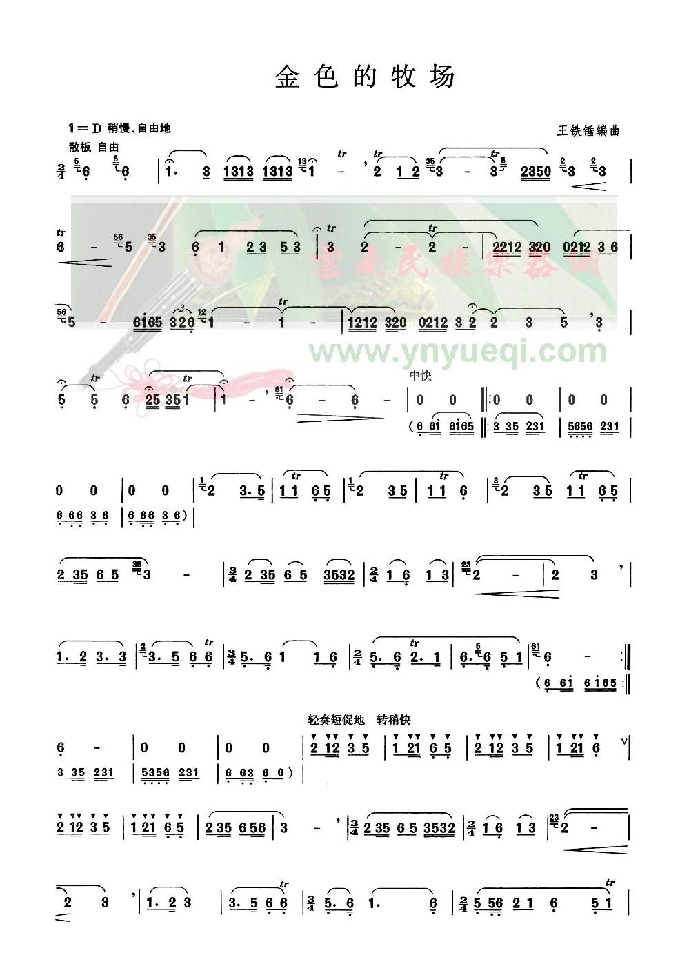 ��ɫ������