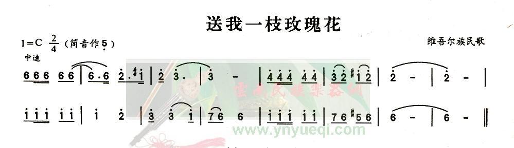 ����һ֦õ�廨