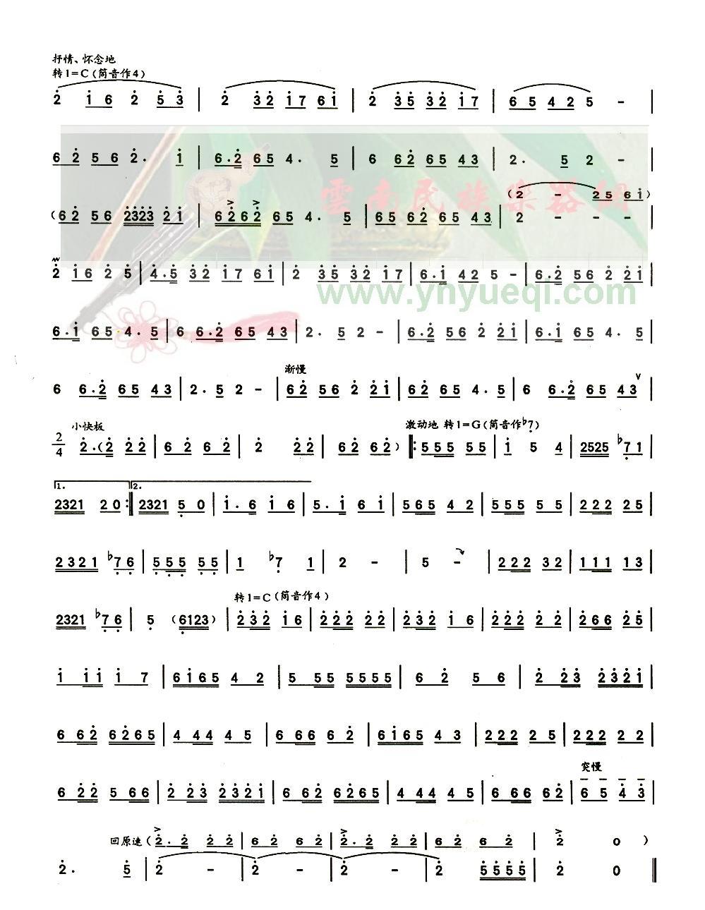 ����Ļ���