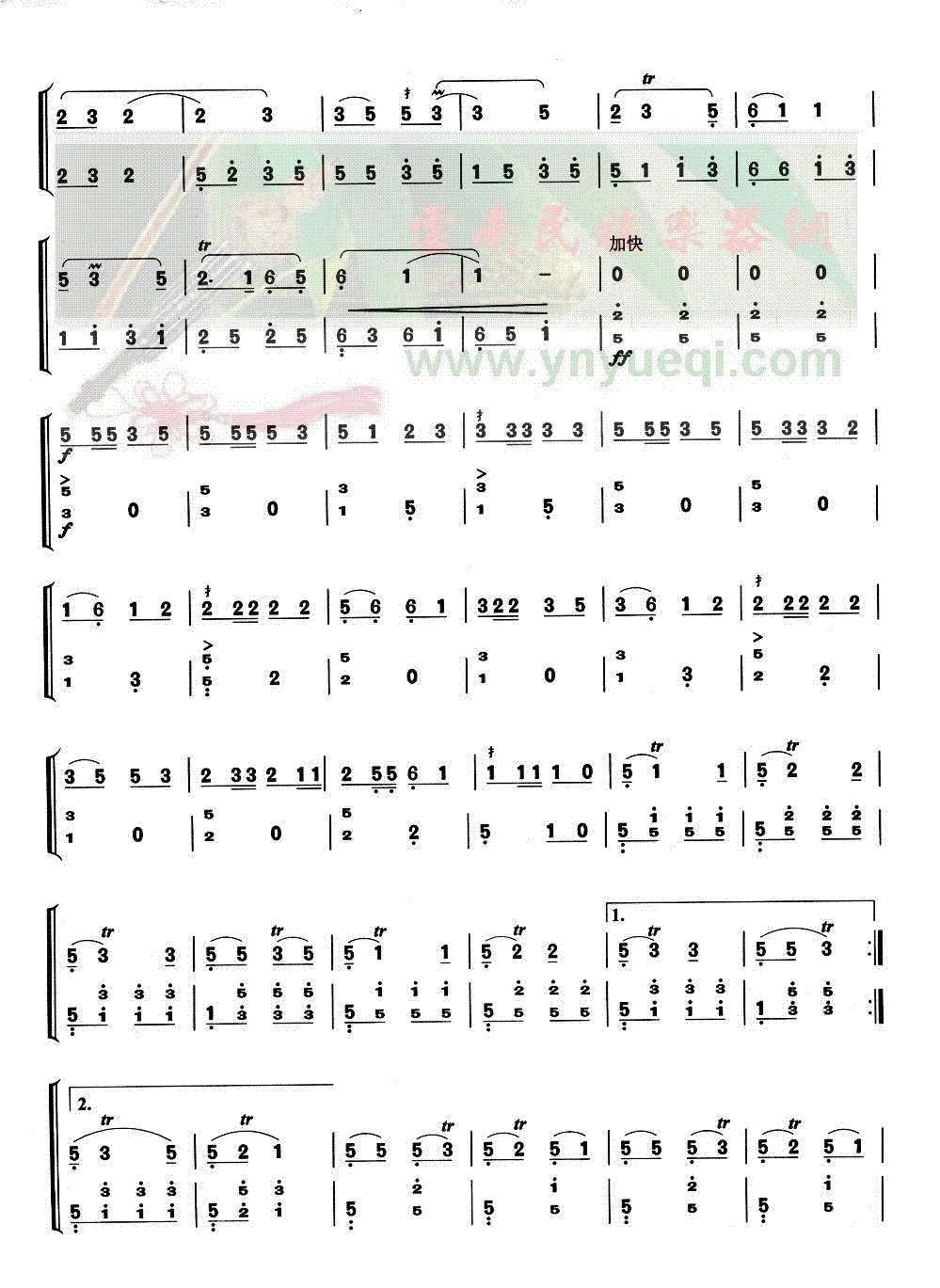 ���˵ĺ�«��