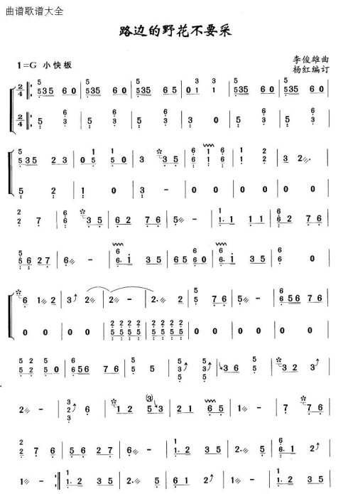 ·�ߵ�Ұ����Ҫ��