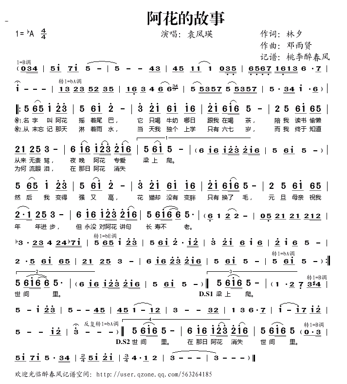 �����Ĺ���