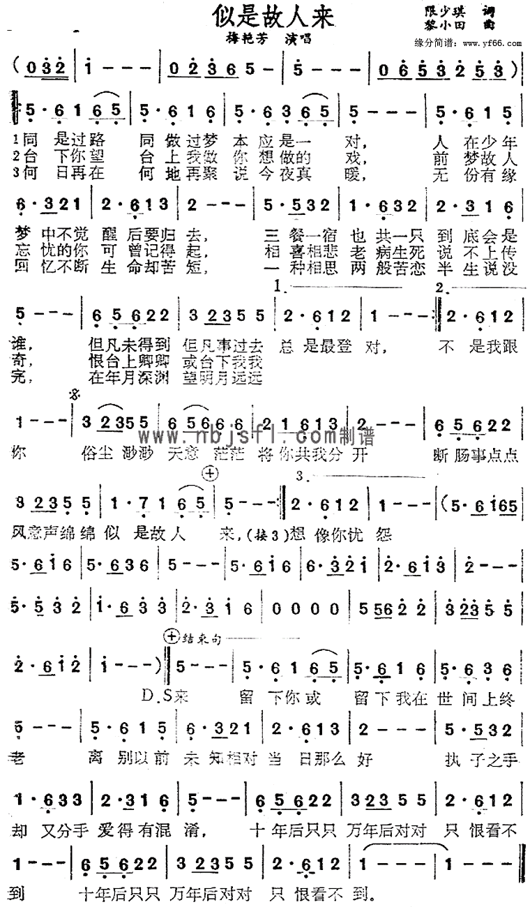 ÷�޷� ���ǹ�����