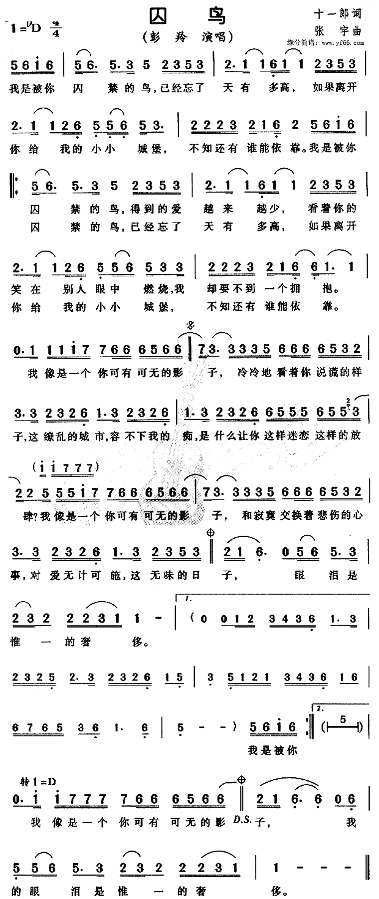 ����_���� ����