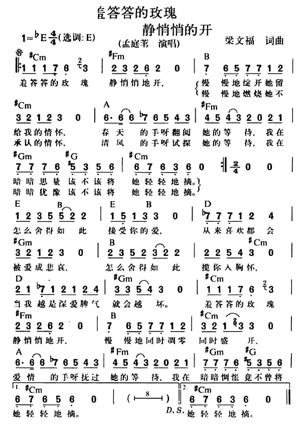 羞答答的玫瑰静悄悄的开