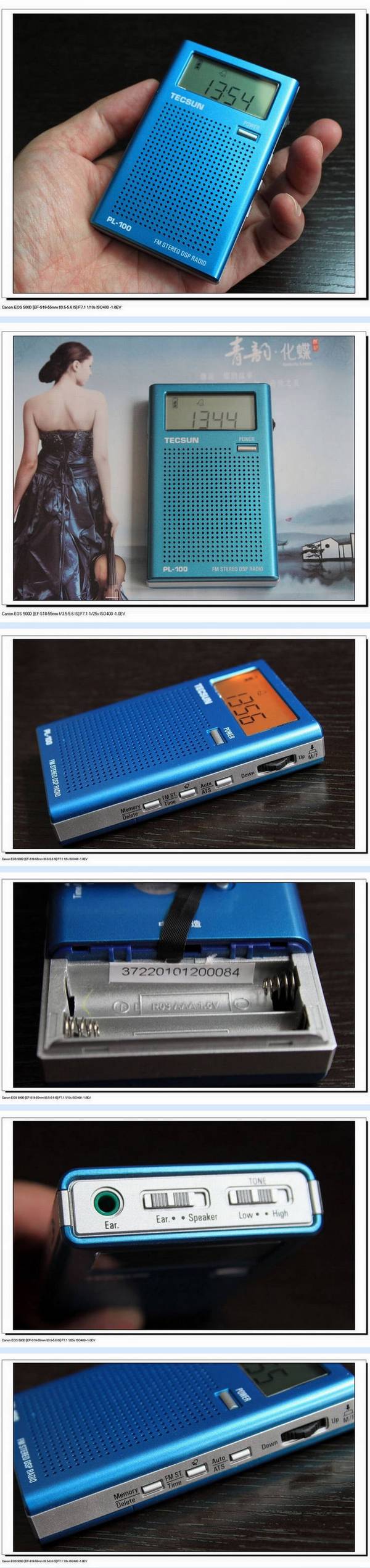 Tecsun/ TECSUN PL-100 ʽֵгDSP