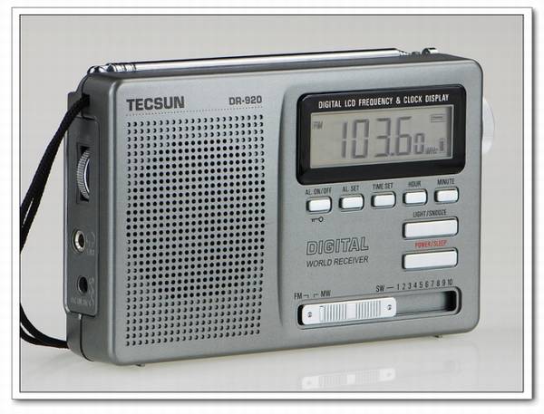 Tecsun/ DR-920 Яʽȫʾӿ