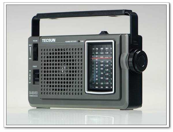 Tecsun/ R304DЯʽȵƵ/в/̲