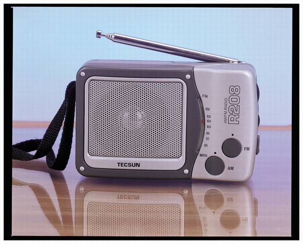 Tecsun/ R-208С̨ʽƵ/