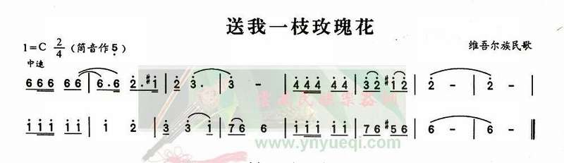 ����һ֦õ�廨