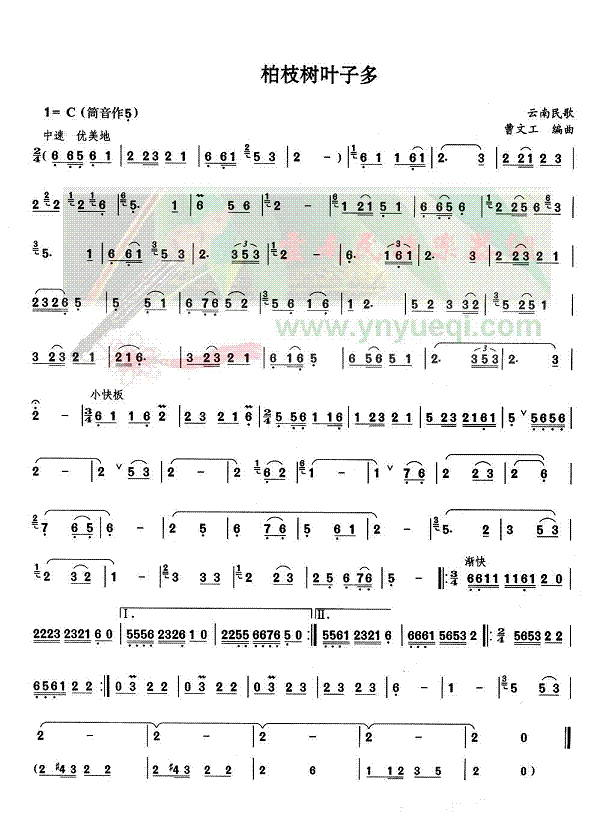 ��֦��Ҷ�Ӷ�