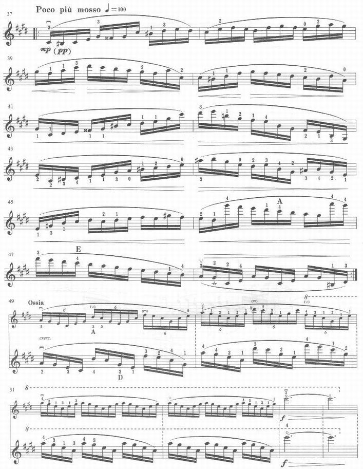 �������з򡶼�������С����