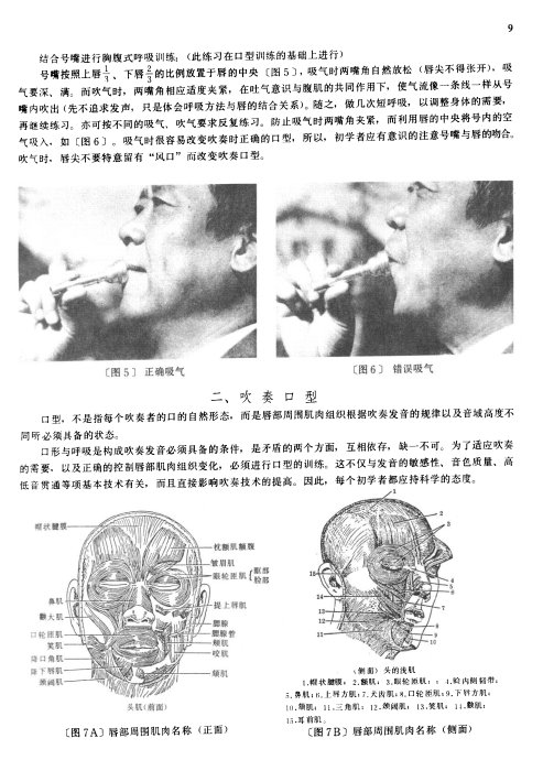 СŻ̳ <wbr>Ŀ¼-20