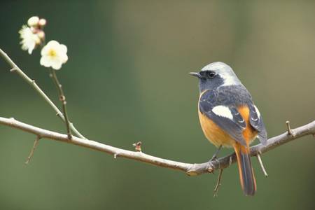 EF600mm F4L IS USM + EXTENDER EF1.4×II