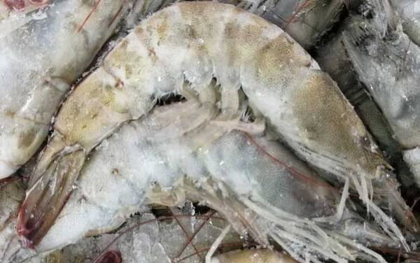 厄瓜多尔白虾是什么虾?