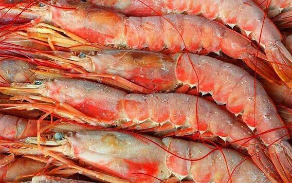 阿根廷红虾多少钱一斤?